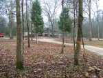 1-23-08 barn bracketed by two cedar trees resized.jpg