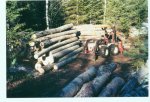 Aspen Spruce Tractor 2 small.jpg