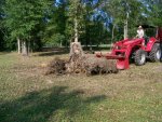 9-20-08 Sliding the Oak root ball to the burn pile.jpg