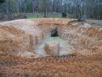 1-17-09 Stump in Pond with soon to be submerged island.jpg