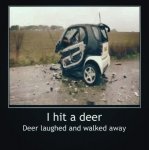 Smart Deer Car.jpg