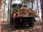 RTV load of wood.JPG