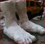 two feet snow.JPG