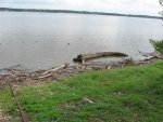 Lake Front Mess 2007 001 (Small).jpg