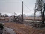 Ice Storm 12.11.07 017.jpg