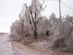 Ice Storm 12.11.07 019.jpg