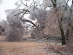 Ice Storm 12.11.07 022.jpg