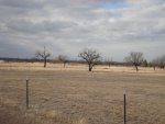 DSC00732.JPG