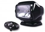 GOLIGHT3151.jpg