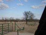 DSC00738.JPG