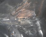 045V9310.jpg