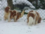 LeRoux and Ellie Snow 1.jpg