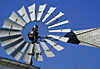 DSCN0333rWindmill-Avatar.gif