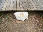 3-7-10 Hill Country stepping stone.jpg