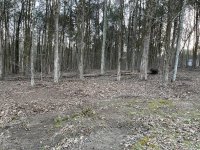 IMG_1601.JPG
