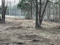 IMG_1600.JPG