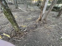 IMG_1595.JPG