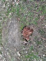 IMG_1576.JPG