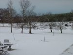 DSCF2970.JPG