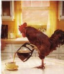 Rooster & Coffee.jpg