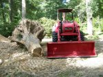 8-5-07 Oak Stump .vs 6520 resized.jpg