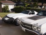 Tommies_cars.JPG
