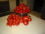 canning05 (Small).jpg