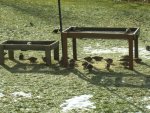 100_3521.jpg