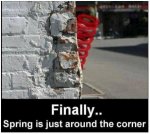 1spring.JPG
