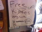 free_kittens_sign-13358.jpg