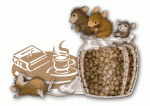 Rat Feeding RAt.gif