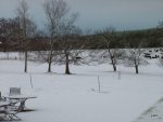 DSCF2970.JPG