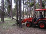 Pulling Tree Down With Grapple (Medium).JPG