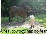 Real Cowb0y.jpg