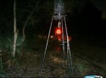 Kubota at Night.jpg