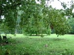 DSCF4481.jpg