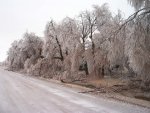 Ice Storm 12.11.07 020.jpg