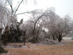 Ice Storm 12.11.07 023.jpg