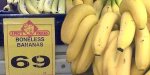 Boneless Bananas.jpg