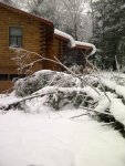 hemlock near miss.jpg