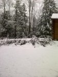 sandy hemlock 2.jpg