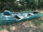Boat Tree 2.jpg