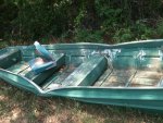 boat tree 3.jpg